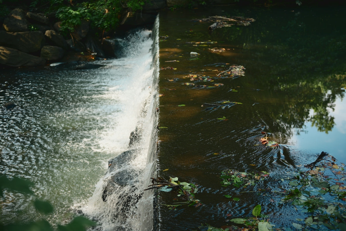 Water flowing over a small concrete dam in a stream