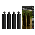 Aquaticstream | CarbonFlow BlackFilters (x4)  NSF/ANSI Certified
