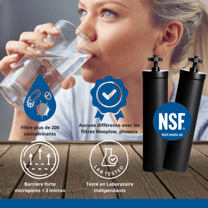 Monderma water filter max big 8.5L with 2 Black Filters, waterview and Base